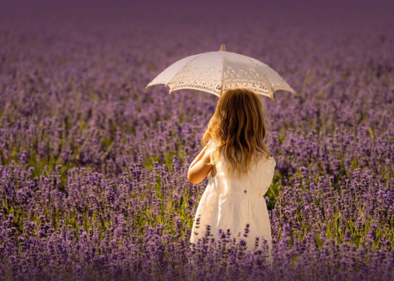 Create unforgettable memories amidst the beauty of the lavender fields.