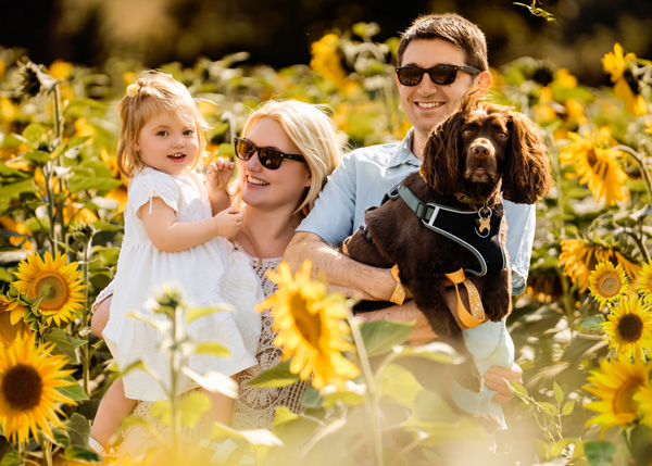 Family of 3 with dog amidst the sunflowers in Hampshire.