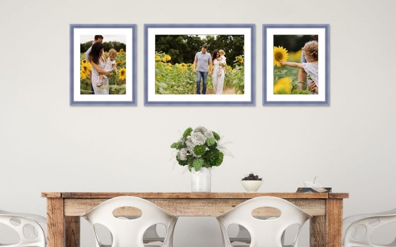 Sunflower field family photoshoot in Hampshire by H Jones Photography – bright, natural wall art display of outdoor family portraits.
