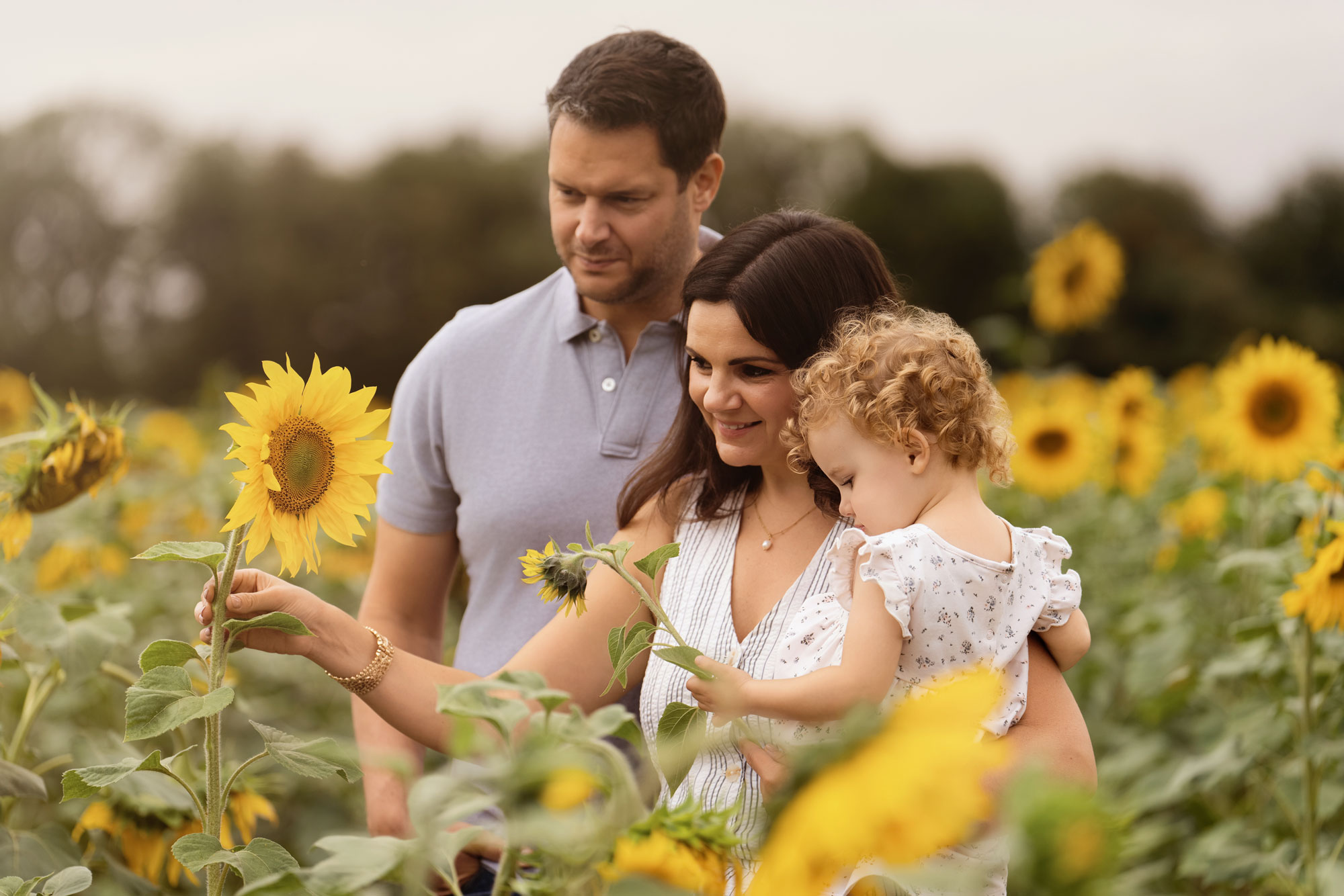 Family with young child exploring sunflowers during a natural outdoor photoshoot - family photographer near Winchester in Hampshire