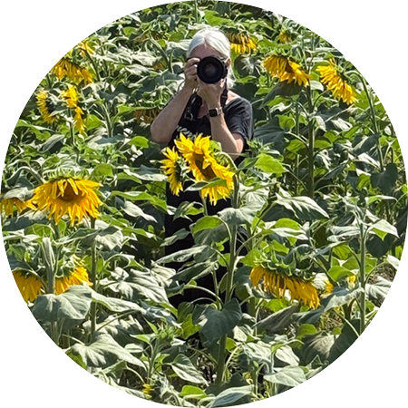 Helen Jones, Hampshire maternity, newborn and family photographer, standing in a sunflower field near Winchester.