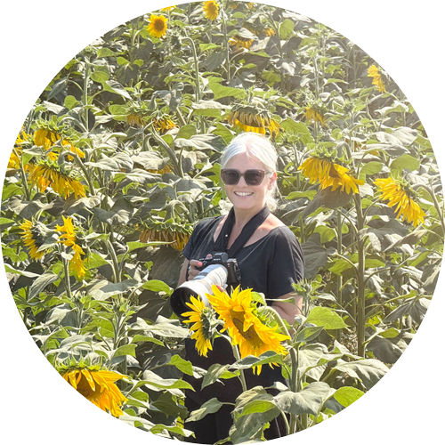 Helen Jones photographing clients during a sunflower photoshoot in Hampshire at Silkstead Sunflower Farm